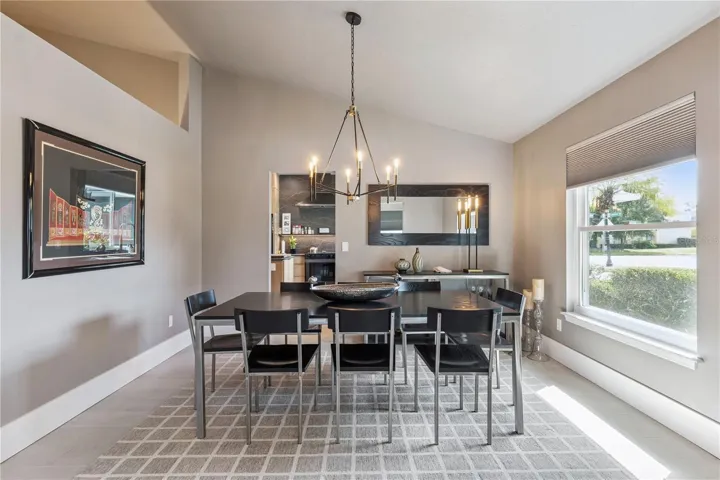 Vaulted Ceiling &amp; Natural Light