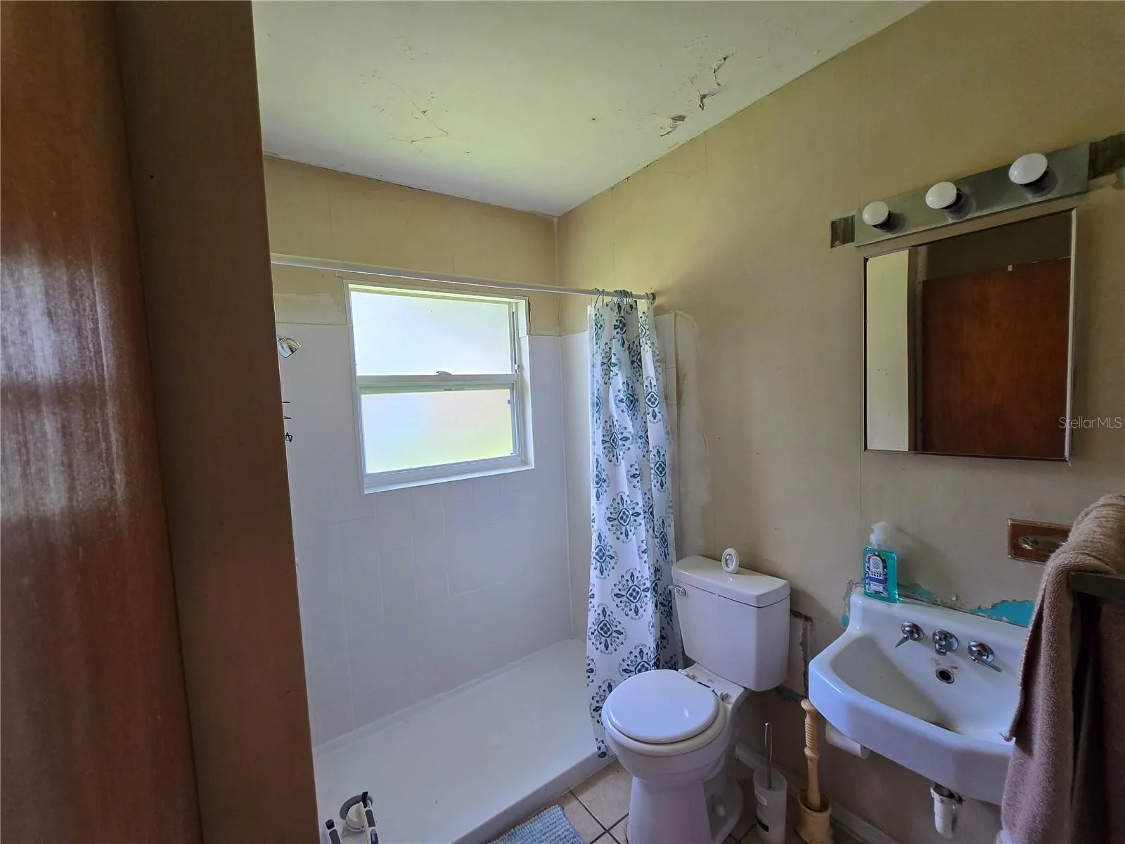 Bathroom large shower