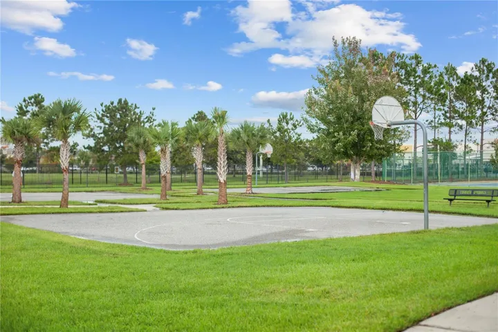 Basketball