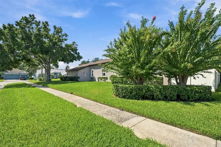 1/3 acre lot