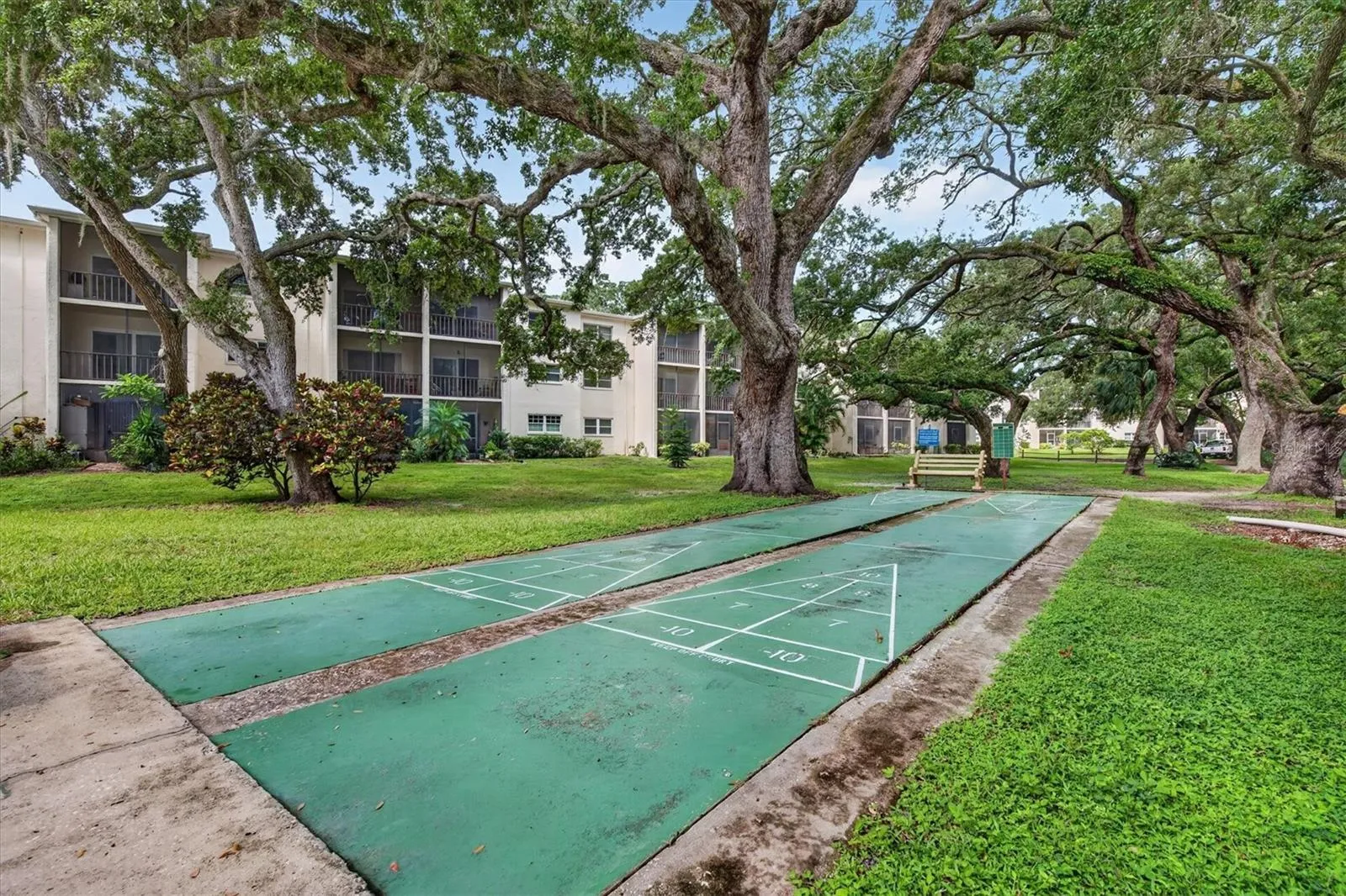 Shuffleboard court