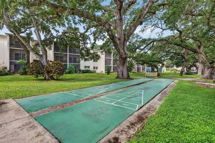 Shuffleboard court