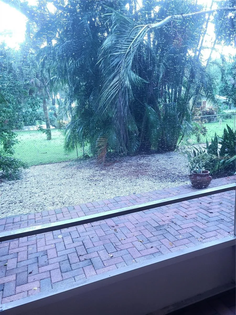 Screened-In Lanai View