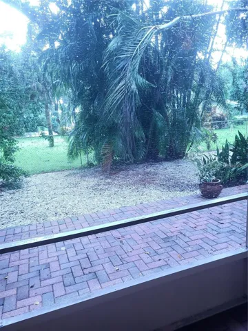 Screened-In Lanai View
