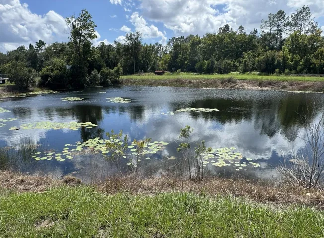 Pond 1