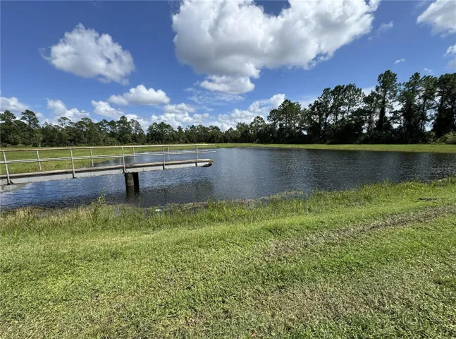 Pond 2 with Dock