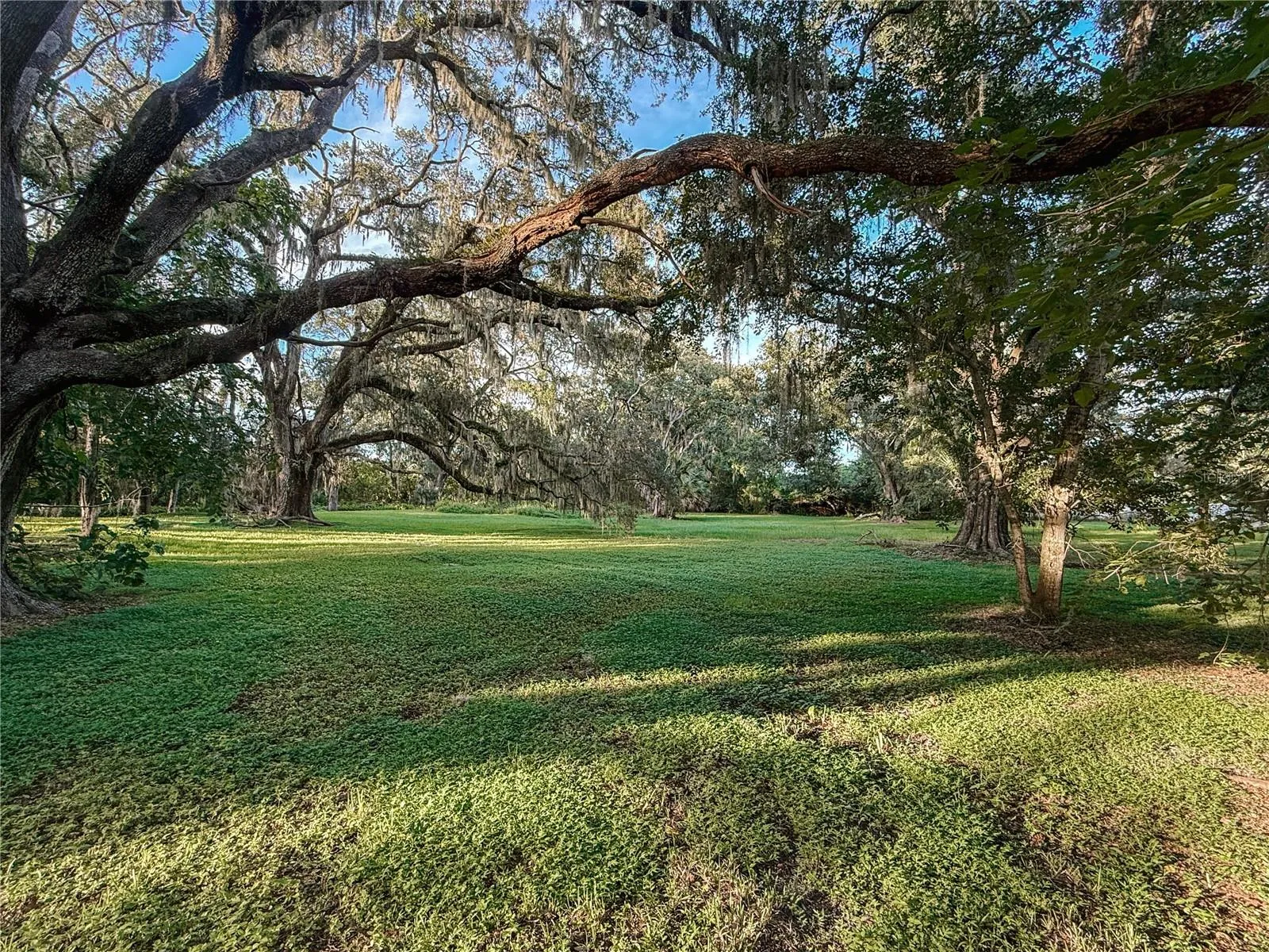 View of the Bird Preserve across the street