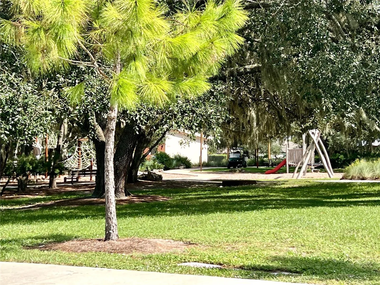 Common Playground