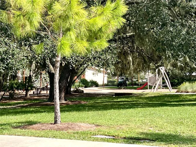Common Playground