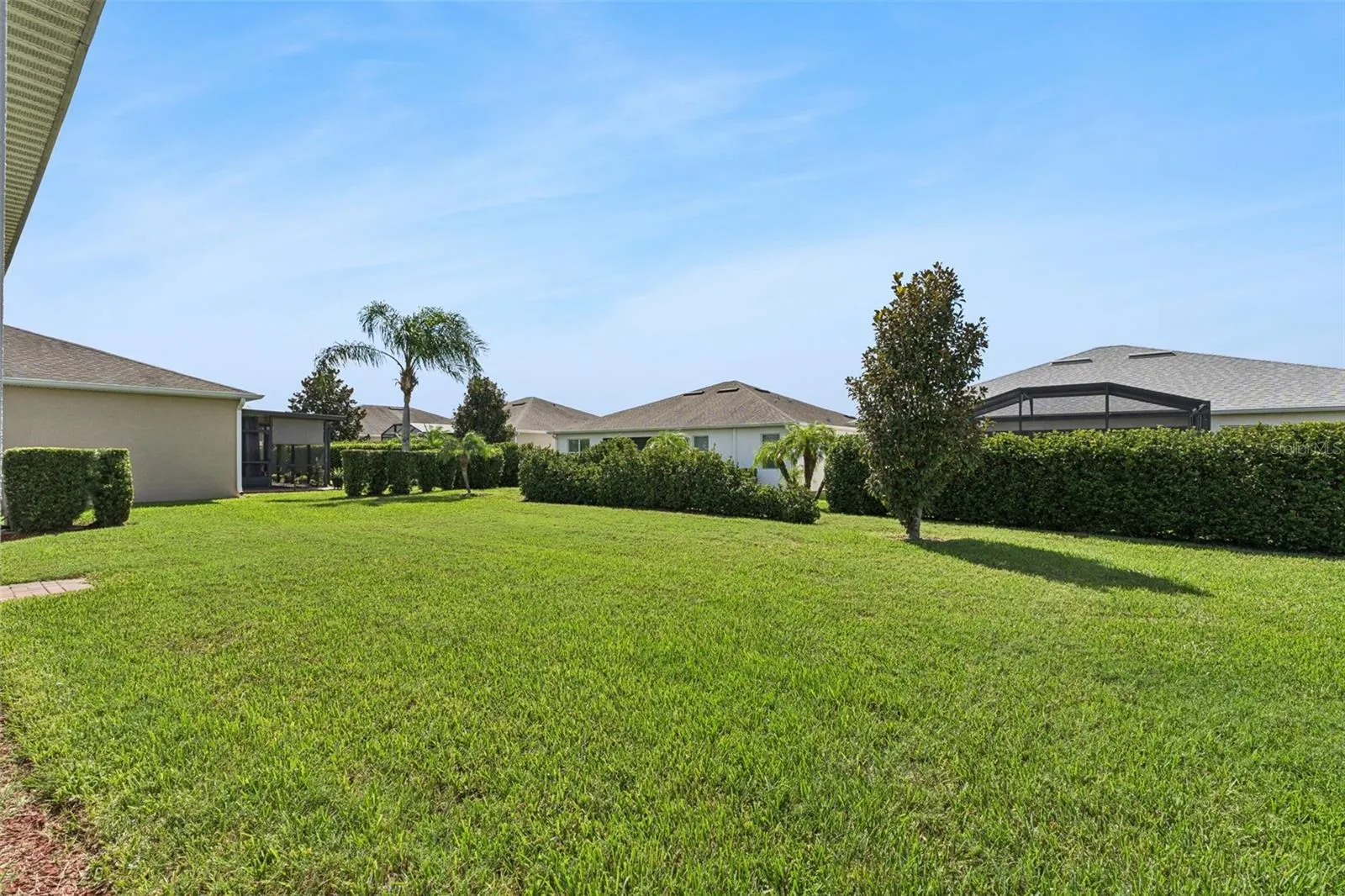 Large Backyard