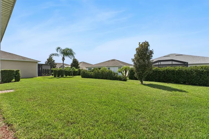 Large Backyard