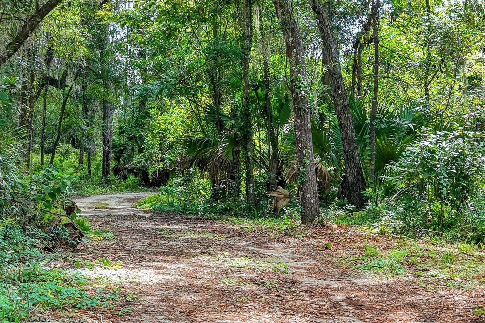 Easement