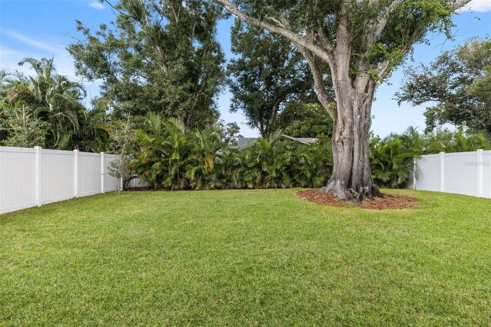 Large backyard