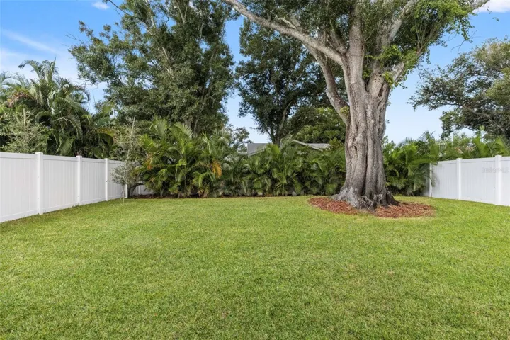 Large backyard