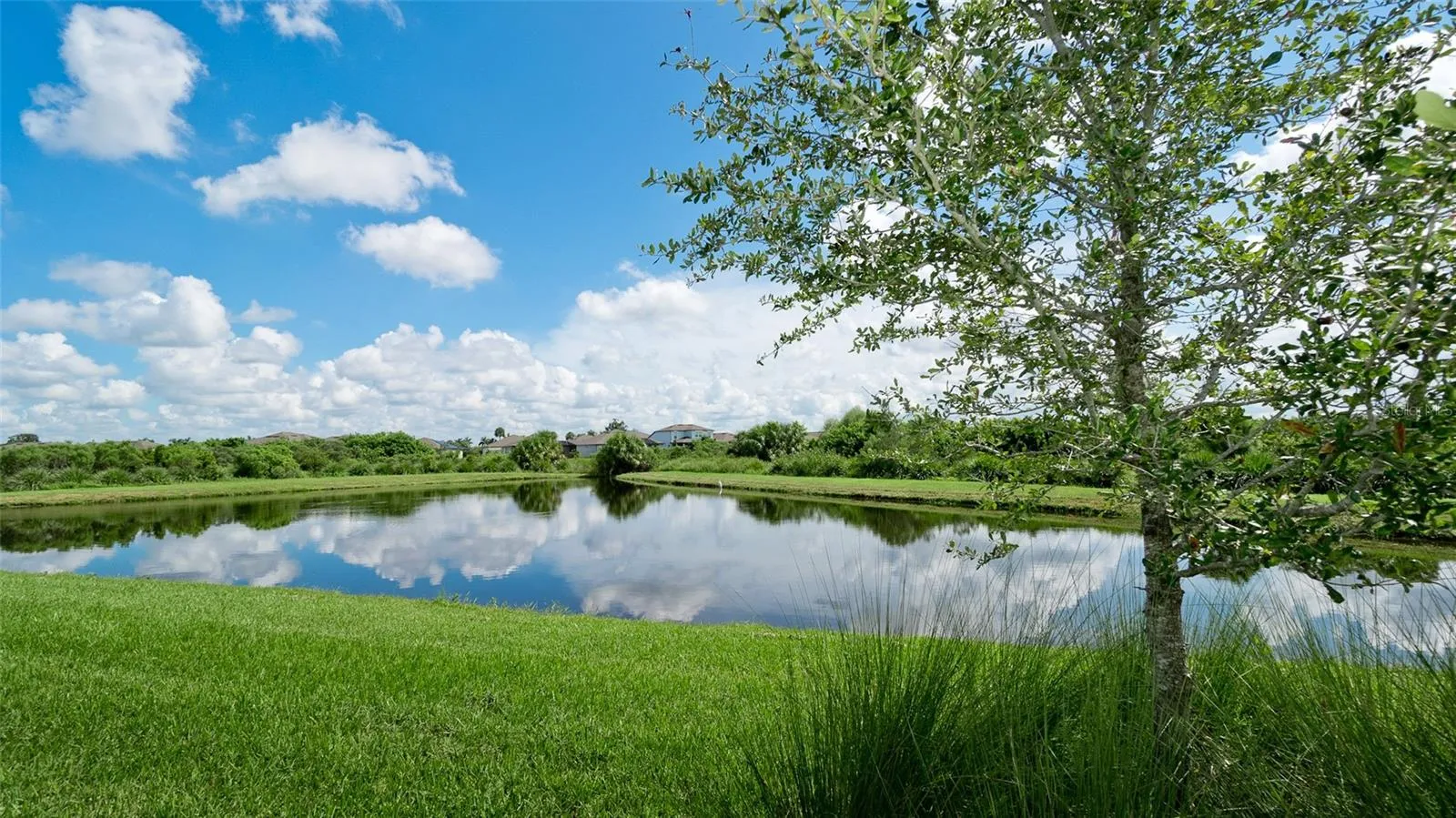 Your premium, relazing view from the back of home