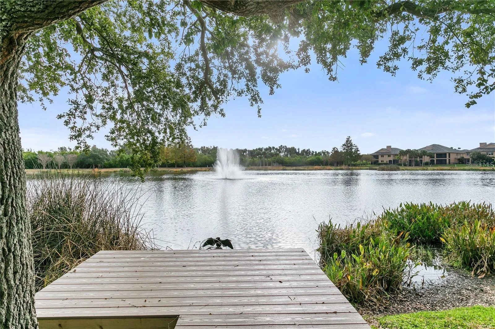 Community Lake