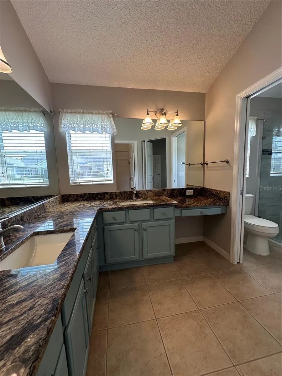 Master vanity area