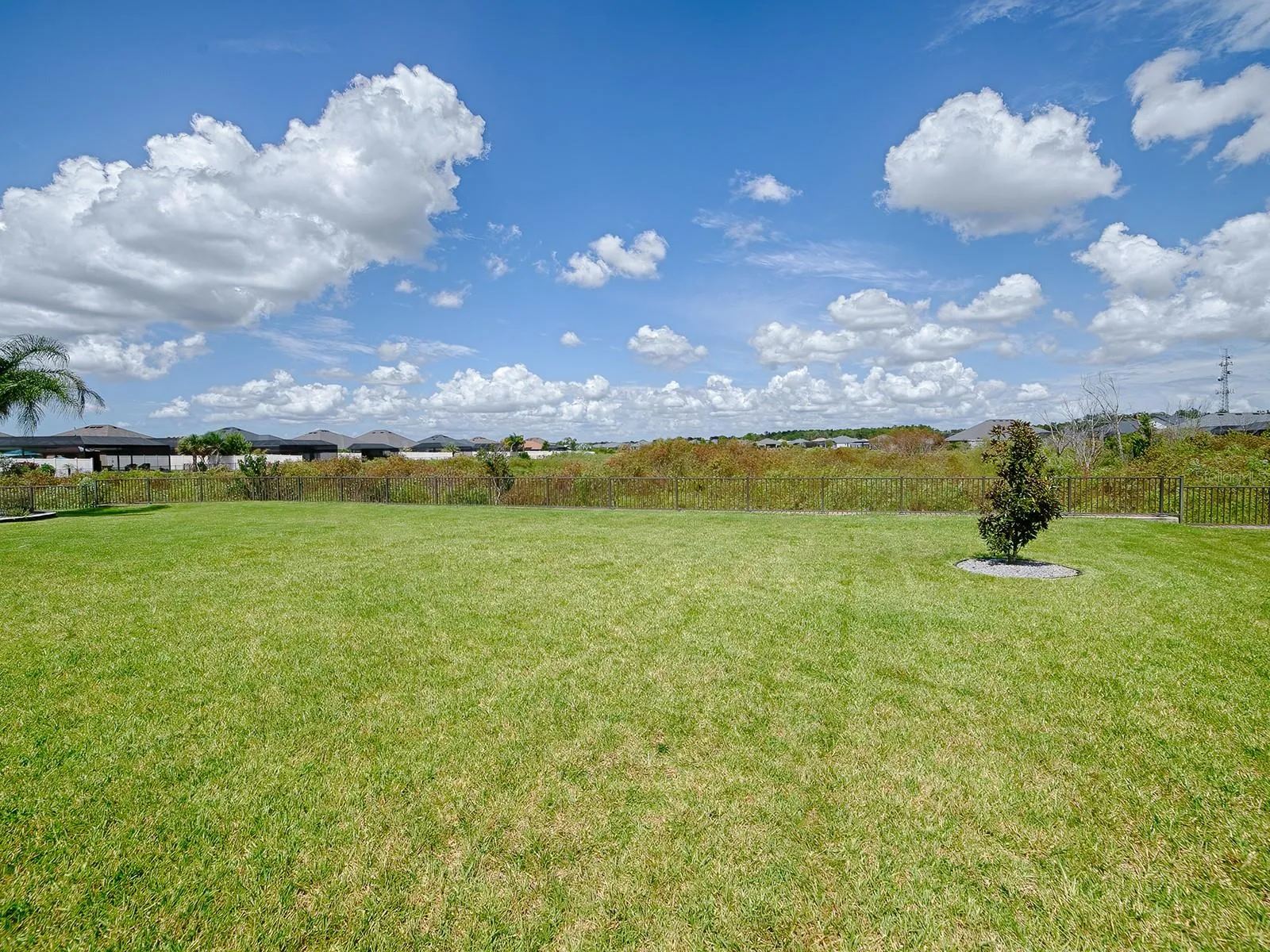 BACKYARD AND VIEW!