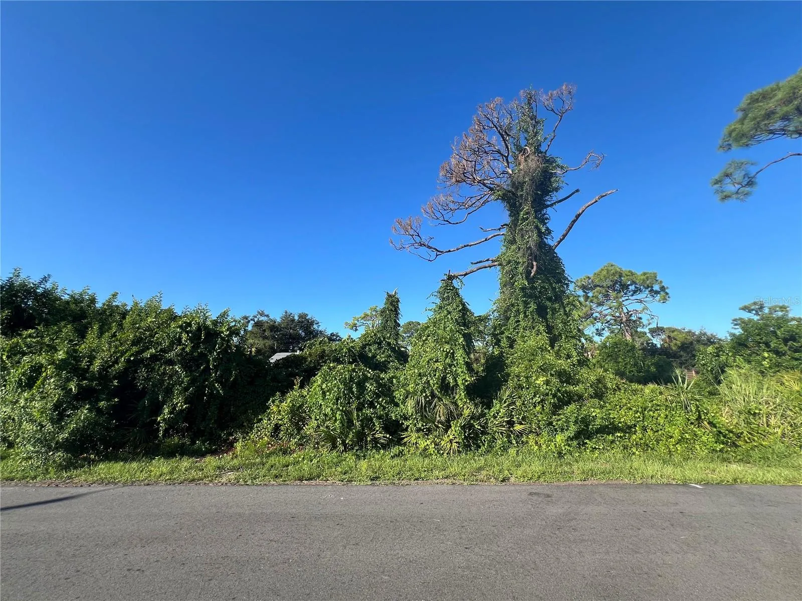 EUCLID RD VACANT LOT