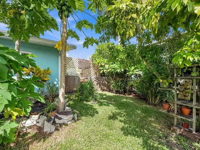 Mature fruit trees