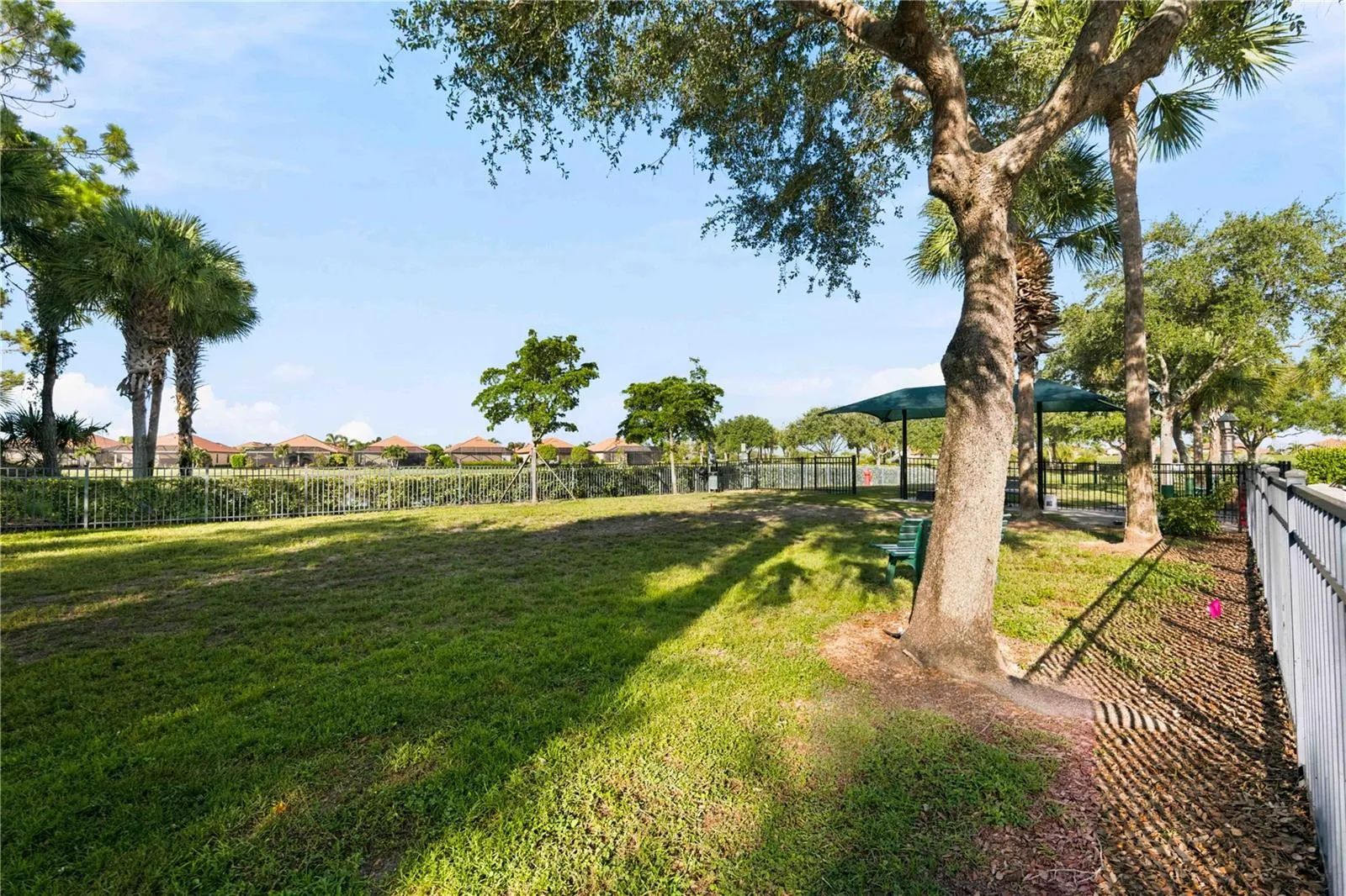 The backyard