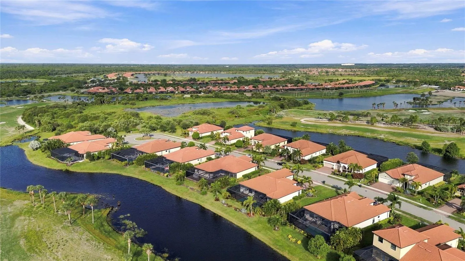 Tarflower Drive from the air