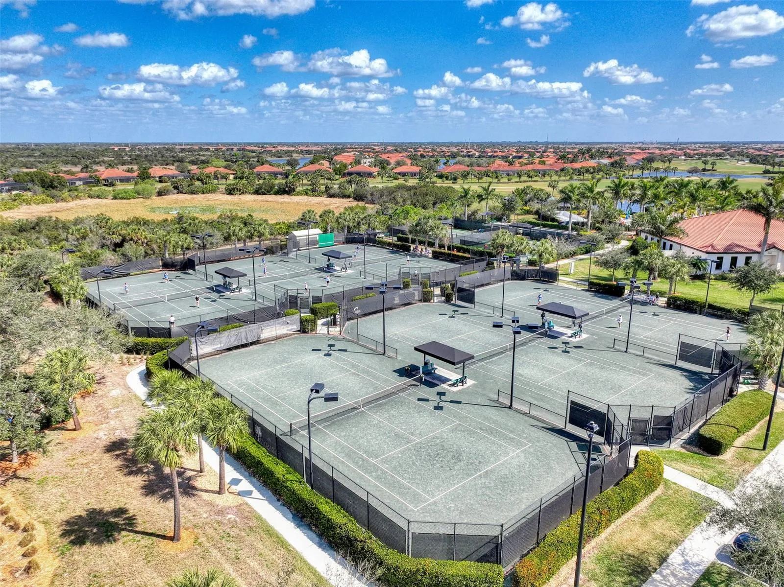The courts - 8 pickleball and 5 Har Tru tennis courts.