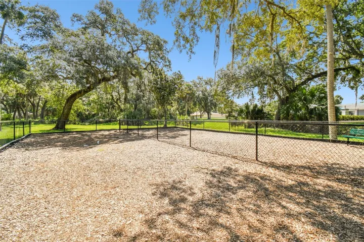 Dog Park