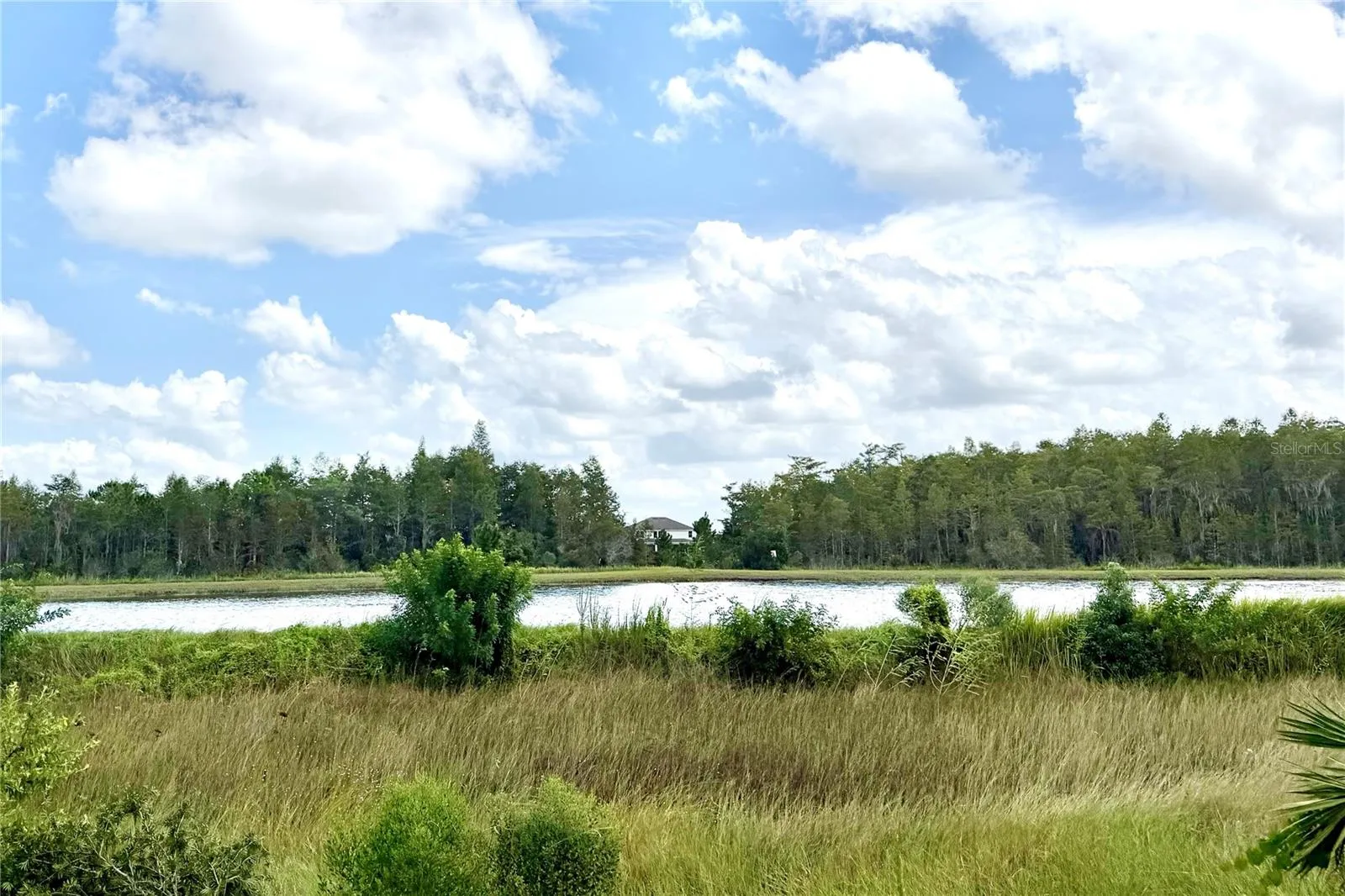 just past the gated fence in the back yard, access to a community pond.