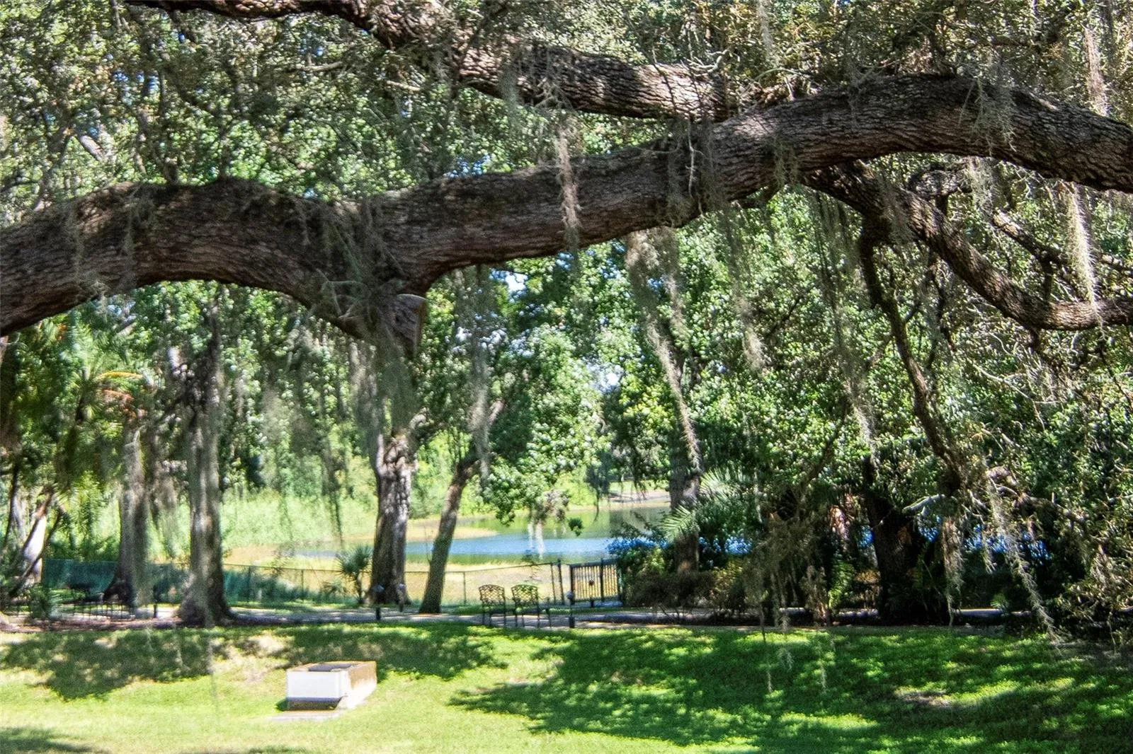 Back Yard Pond View