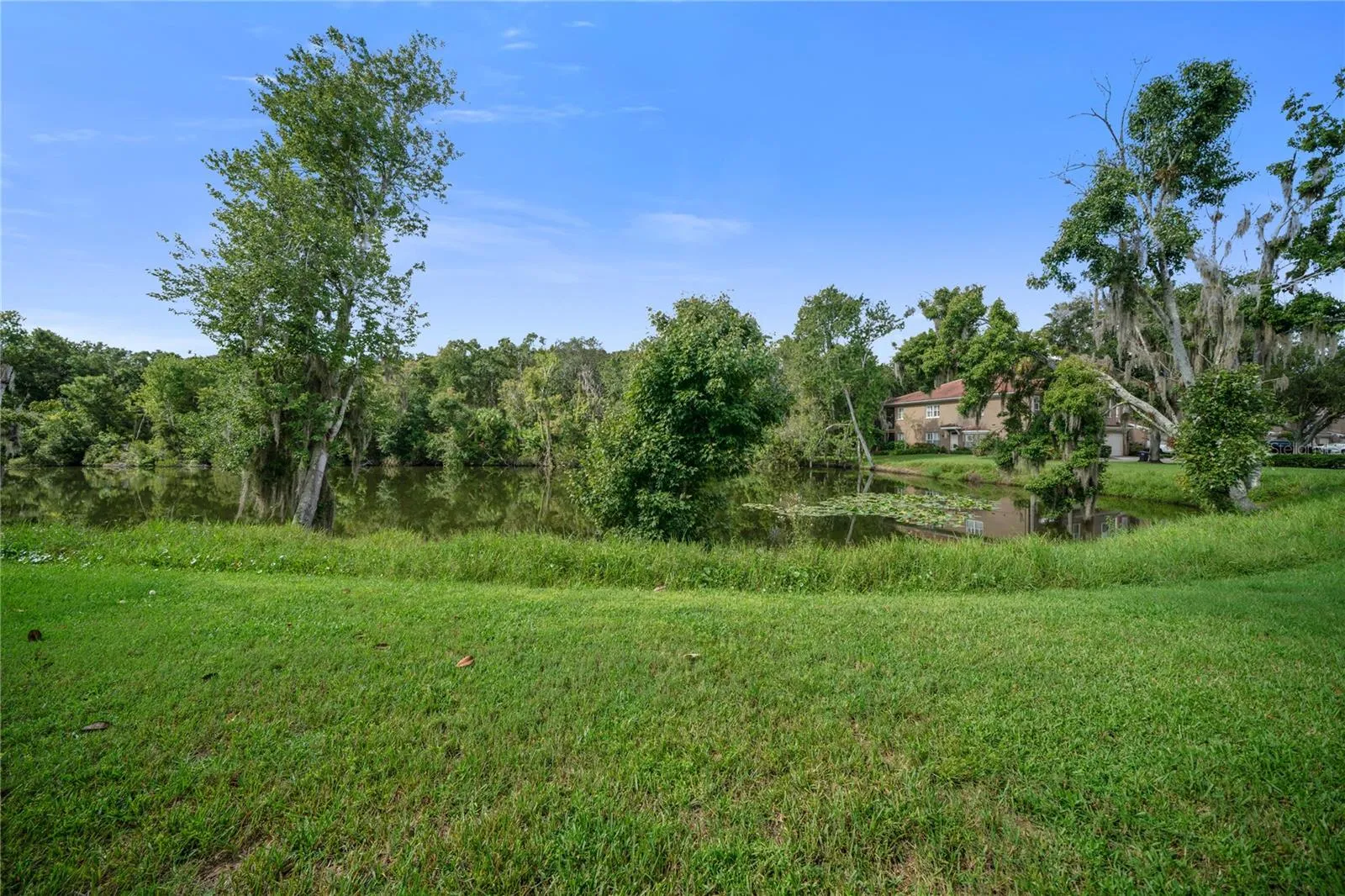 LARGE BACK YARD