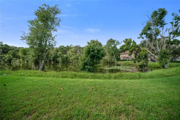 LARGE BACK YARD