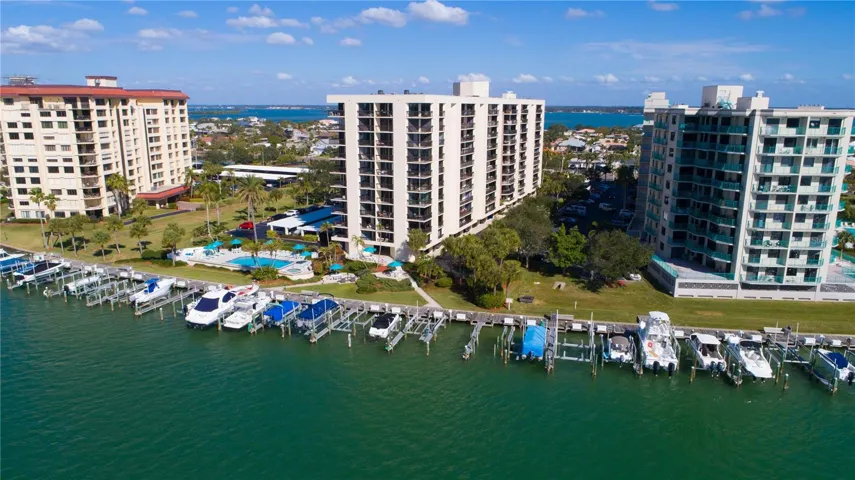 Your backyard