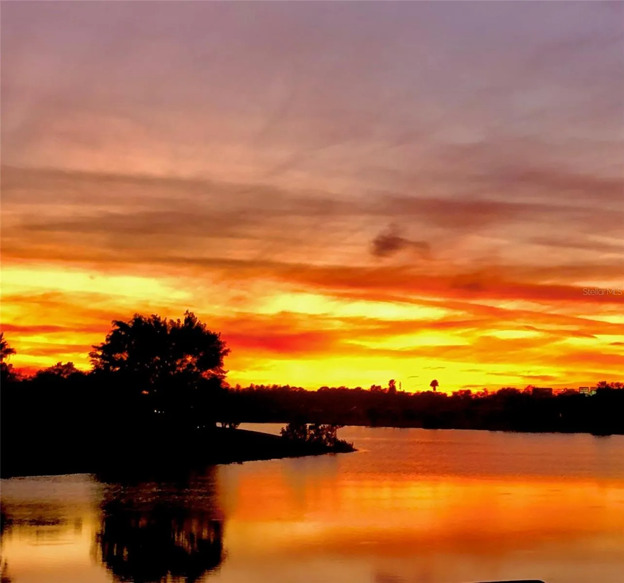 Imagine seeing this every night!