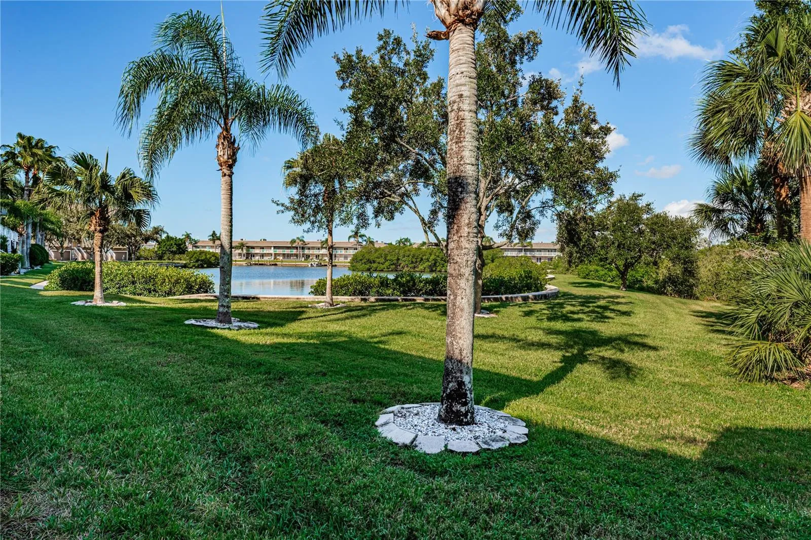 Lush grassy area outside your back door is ideal for pets or friends to gather.
