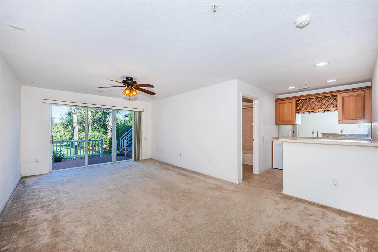 Rec room/family room and party kitchen
