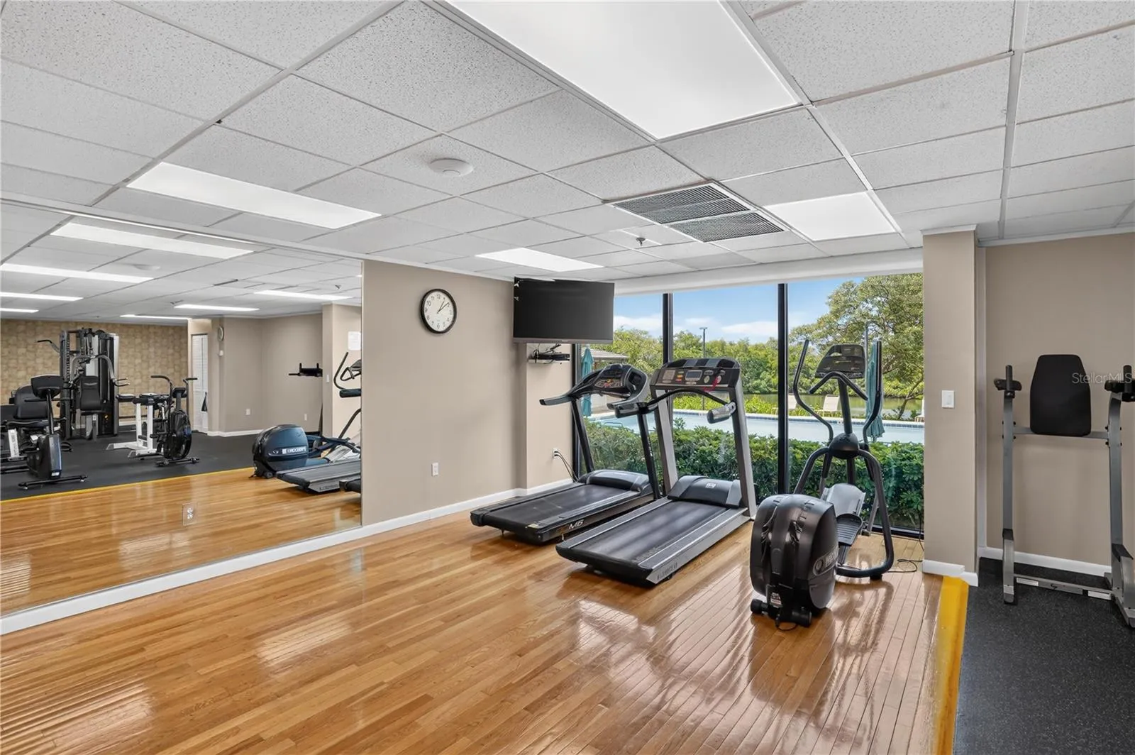 gym