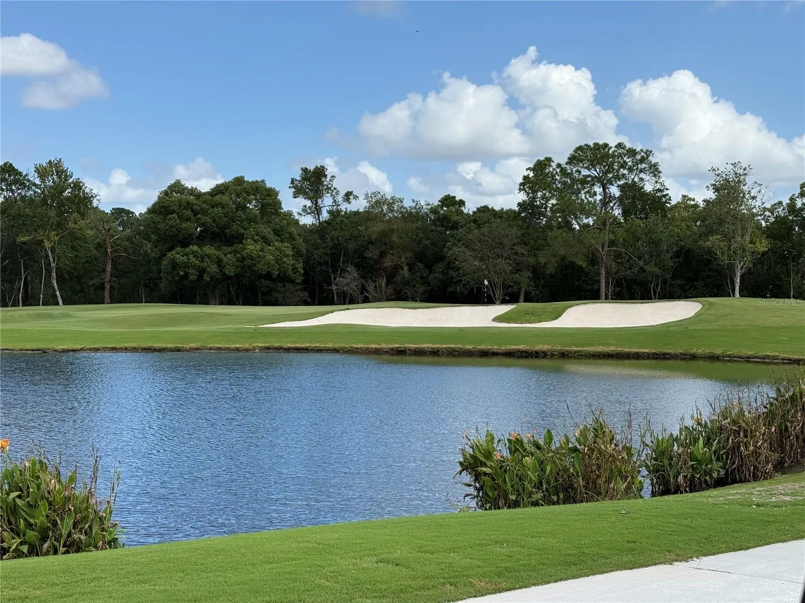 Beautiful Golf Course at CC Interlachen CC