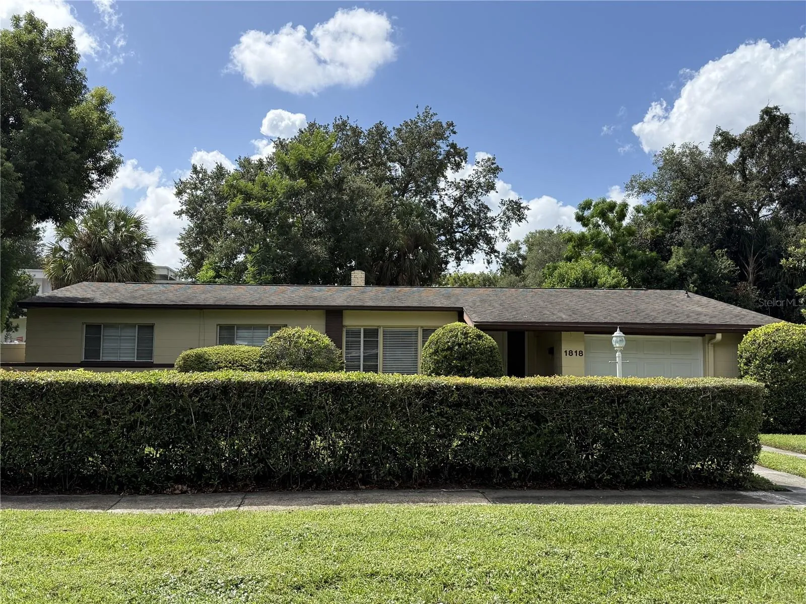 Front Yard Privacy Hedge