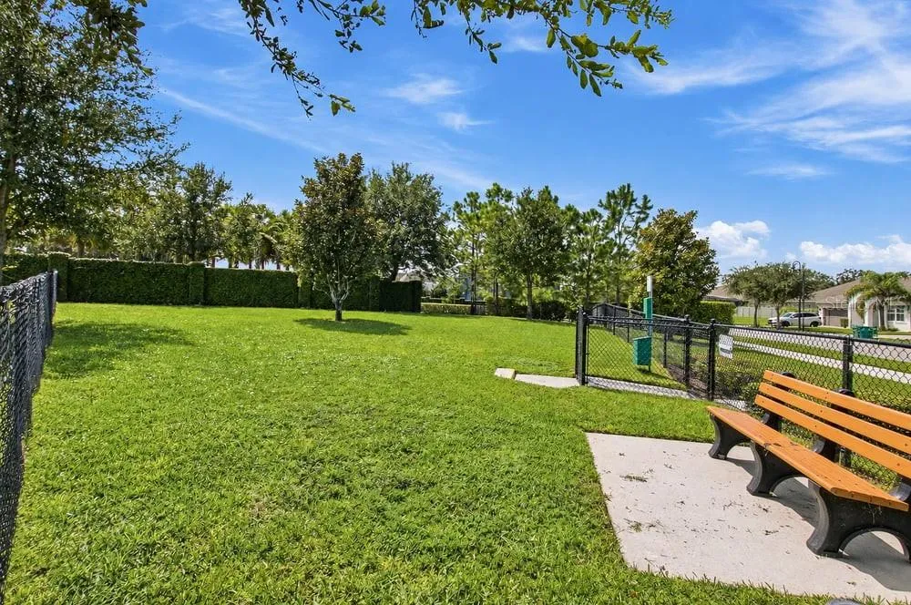Dog Park