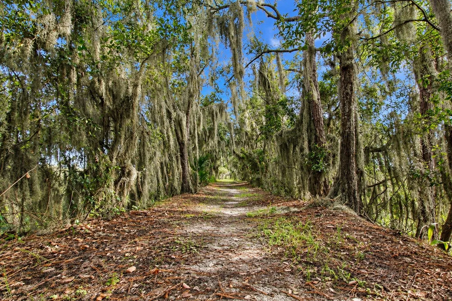 Nature Trail