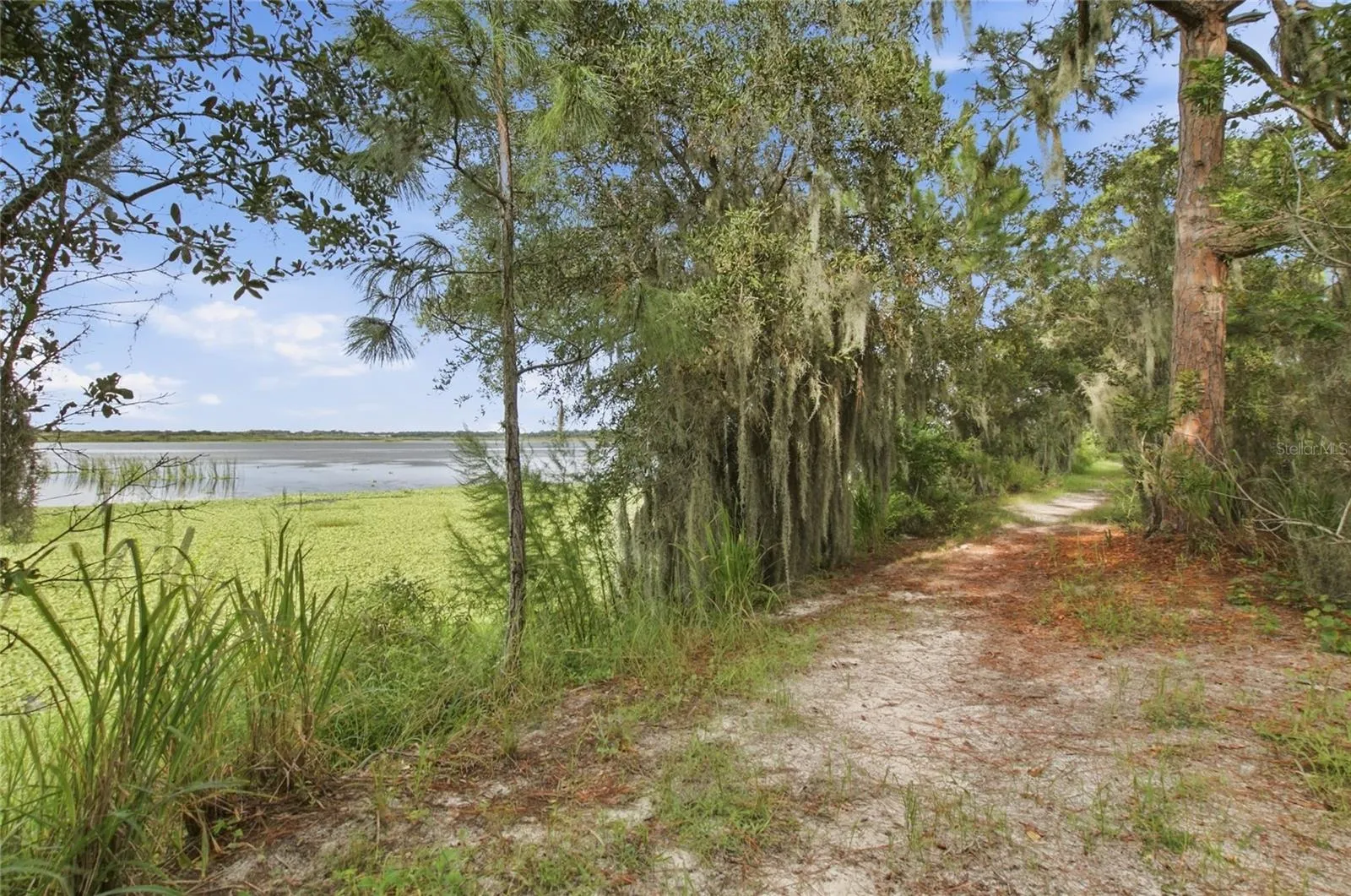 Nature Trail