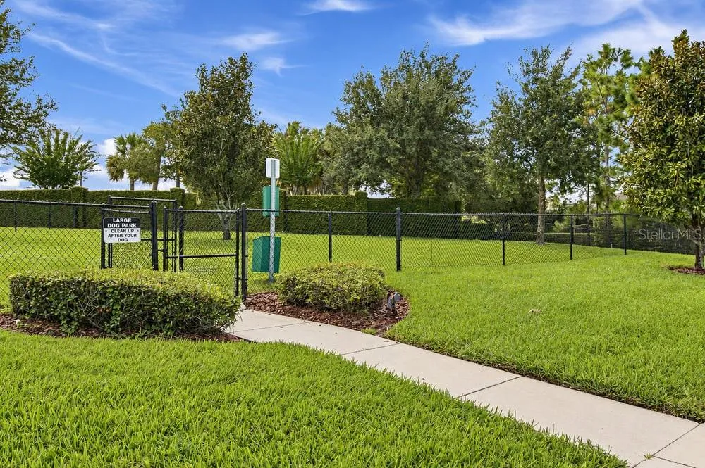 Dog Park