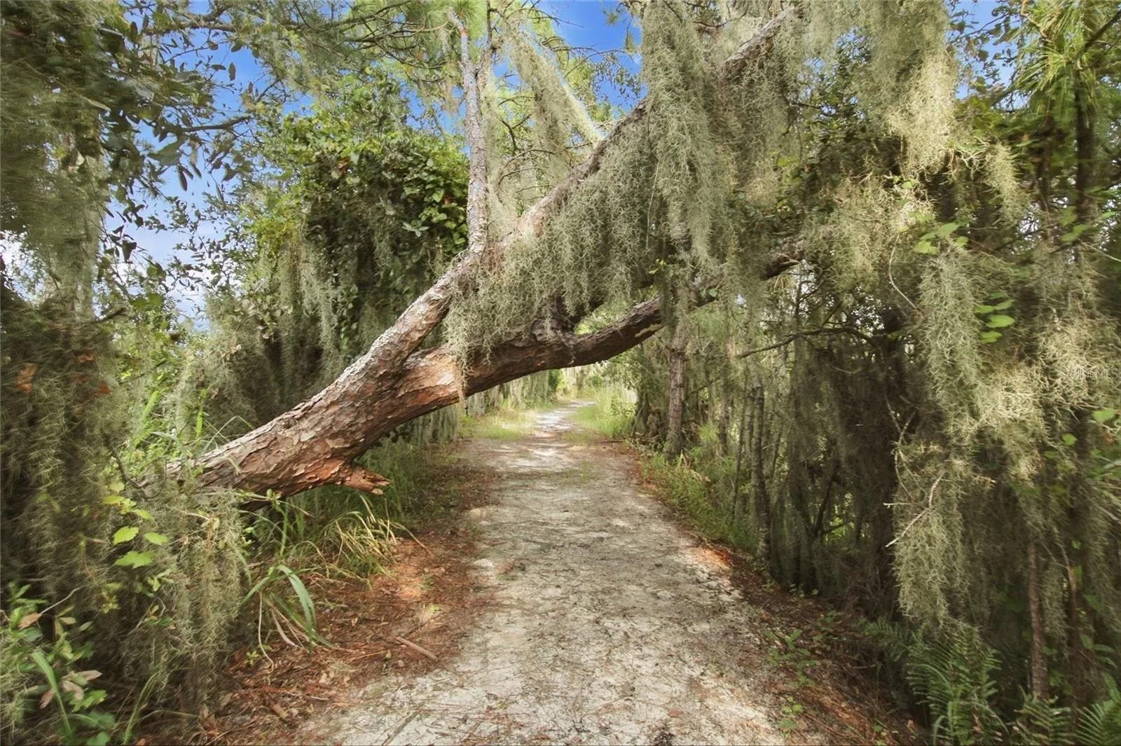 Nature Trail
