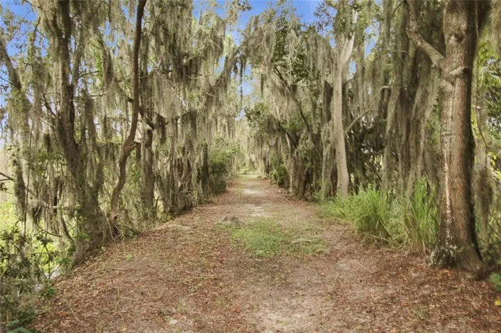 Nature Trail