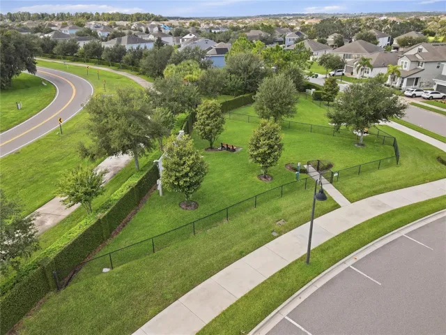 Dog Park Aerial
