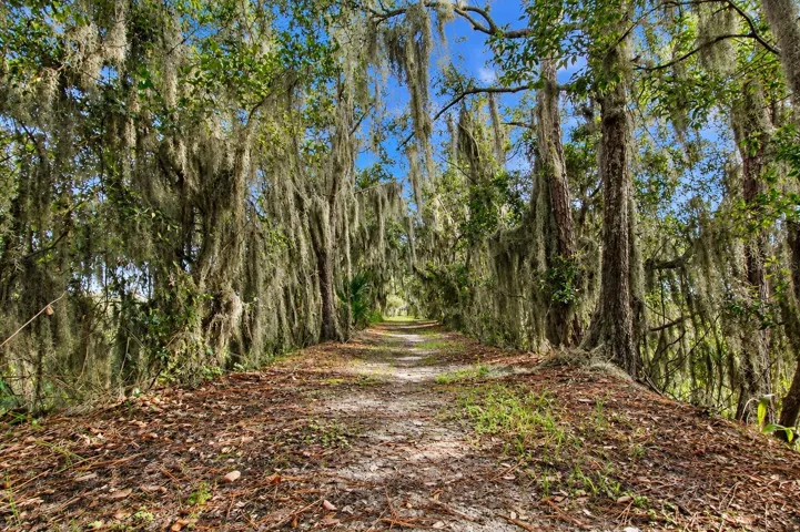 Nature Trail