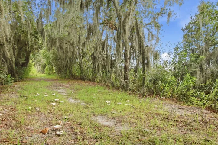 Nature Trail