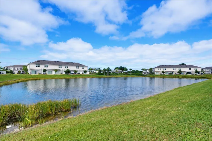 Pond View