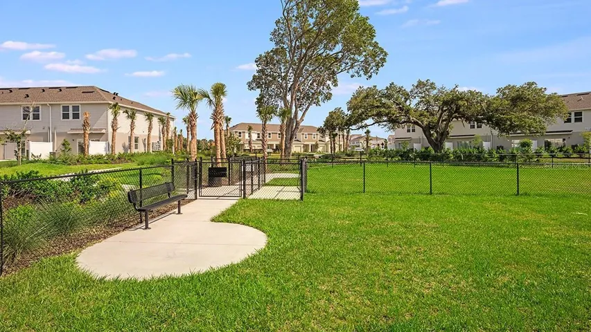 Dog Park